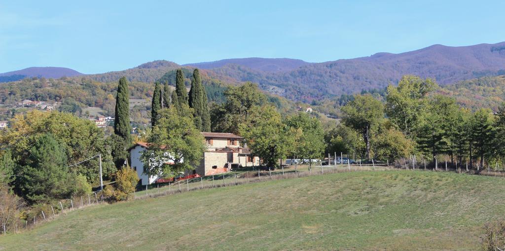 Agriturismo Mandrioli Pratovecchio Eksteriør billede