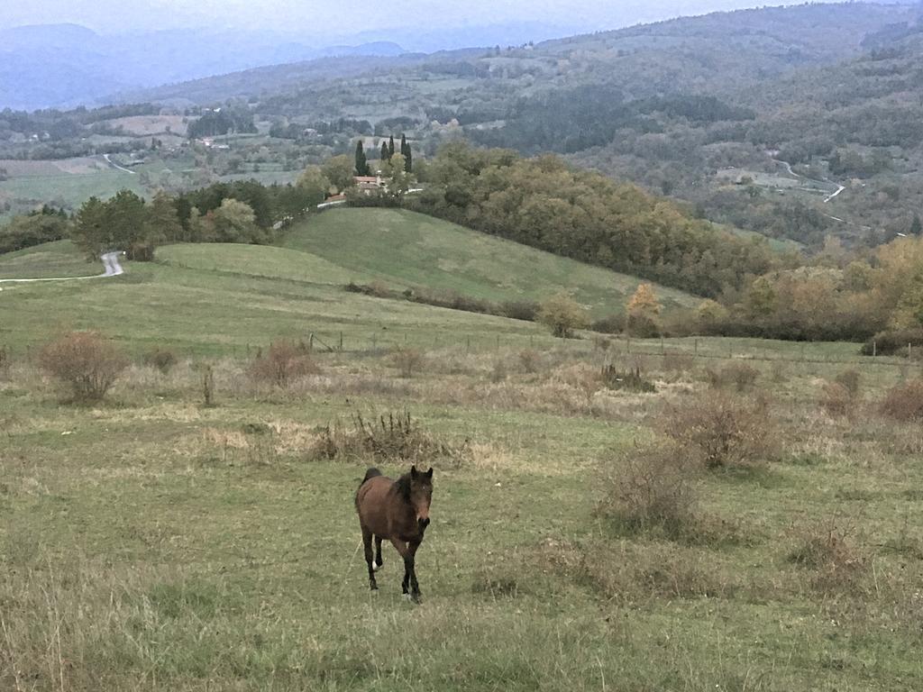 Agriturismo Mandrioli Pratovecchio Eksteriør billede